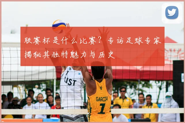 联赛杯是什么比赛？专访足球专家揭秘其独特魅力与历史